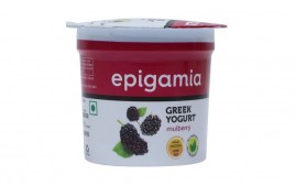 Epigamia Green Yogurt Mulberry   Cup  90 grams